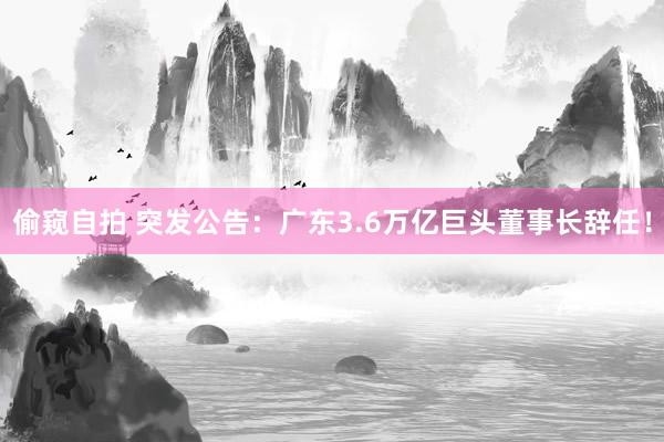 偷窥自拍 突发公告：广东3.6万亿巨头董事长辞任！