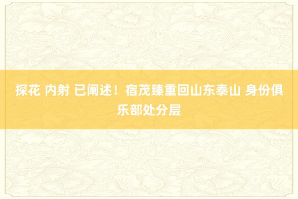探花 内射 已阐述！宿茂臻重回山东泰山 身份俱乐部处分层