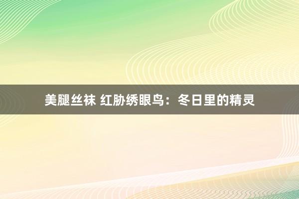 美腿丝袜 红胁绣眼鸟：冬日里的精灵