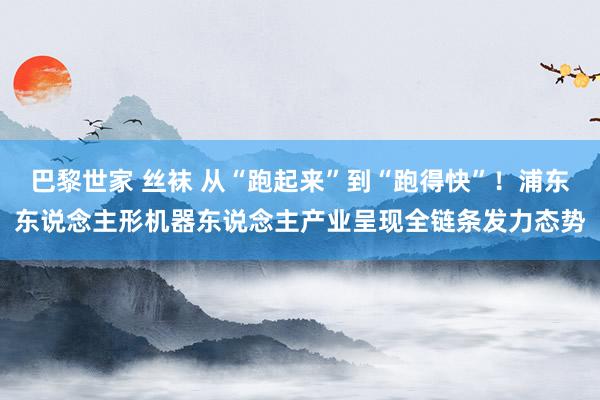 巴黎世家 丝袜 从“跑起来”到“跑得快”！浦东东说念主形机器东说念主产业呈现全链条发力态势