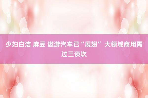 少妇白洁 麻豆 遨游汽车已“展翅” 大领域商用需过三谈坎