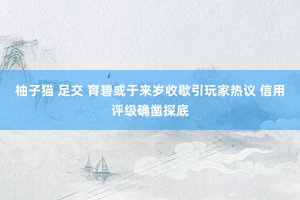 柚子猫 足交 育碧或于来岁收歇引玩家热议 信用评级确凿探底