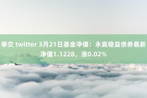拳交 twitter 3月21日基金净值：永赢稳益债券最新净值1.1228，涨0.02%