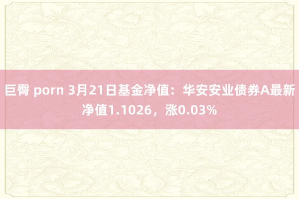 巨臀 porn 3月21日基金净值：华安安业债券A最新净值1.1026，涨0.03%