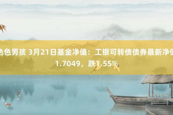 色色男孩 3月21日基金净值：工银可转债债券最新净值1.7049，跌1.55%