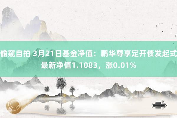 偷窥自拍 3月21日基金净值：鹏华尊享定开债发起式最新净值1.1083，涨0.01%