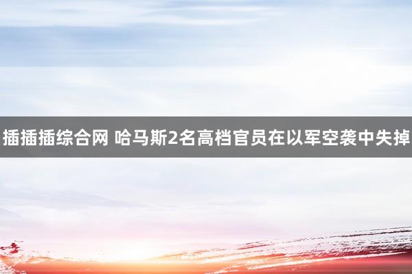 插插插综合网 哈马斯2名高档官员在以军空袭中失掉