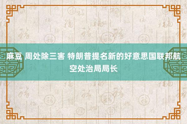 麻豆 周处除三害 特朗普提名新的好意思国联邦航空处治局局长