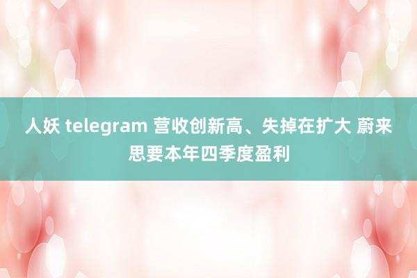 人妖 telegram 营收创新高、失掉在扩大 蔚来思要本年四季度盈利