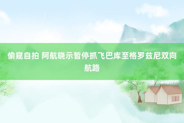 偷窥自拍 阿航晓示暂停抓飞巴库至格罗兹尼双向航路