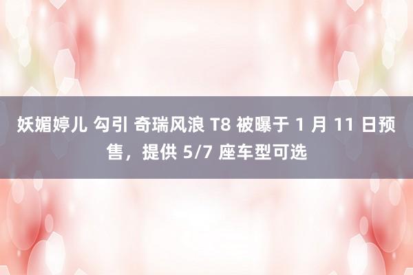 妖媚婷儿 勾引 奇瑞风浪 T8 被曝于 1 月 11 日预售，提供 5/7 座车型可选