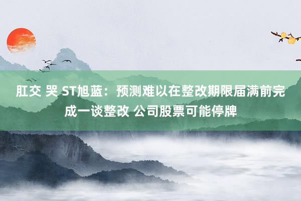肛交 哭 ST旭蓝：预测难以在整改期限届满前完成一谈整改 公司股票可能停牌