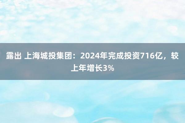露出 上海城投集团：2024年完成投资716亿，较上年增长3%