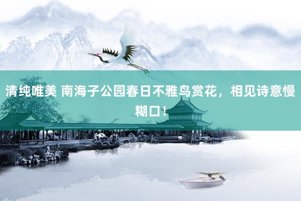 清纯唯美 南海子公园春日不雅鸟赏花，相见诗意慢糊口！