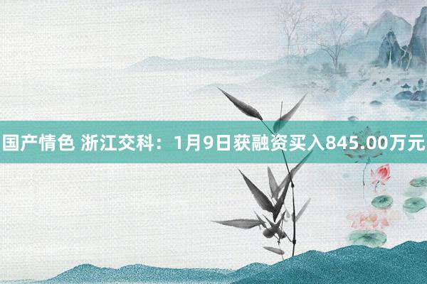 国产情色 浙江交科：1月9日获融资买入845.00万元