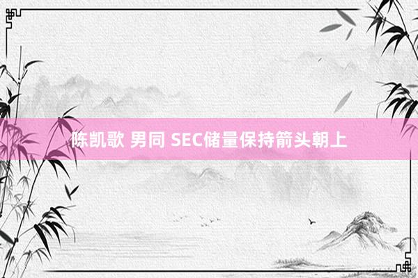 陈凯歌 男同 SEC储量保持箭头朝上