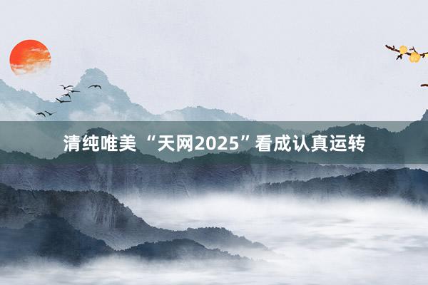 清纯唯美 “天网2025”看成认真运转