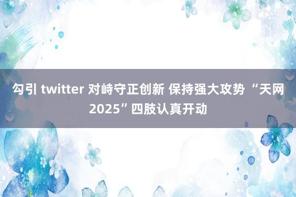 勾引 twitter 对峙守正创新 保持强大攻势 “天网2025”四肢认真开动