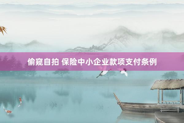 偷窥自拍 保险中小企业款项支付条例