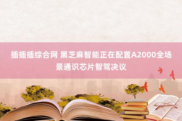 插插插综合网 黑芝麻智能正在配置A2000全场景通识芯片智驾决议