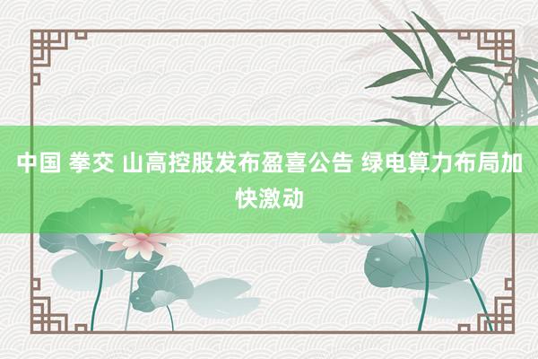 中国 拳交 山高控股发布盈喜公告 绿电算力布局加快激动