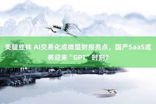 美腿丝袜 AI交易化成微盟财报亮点，国产SaaS或将迎来“GPT”时刻？