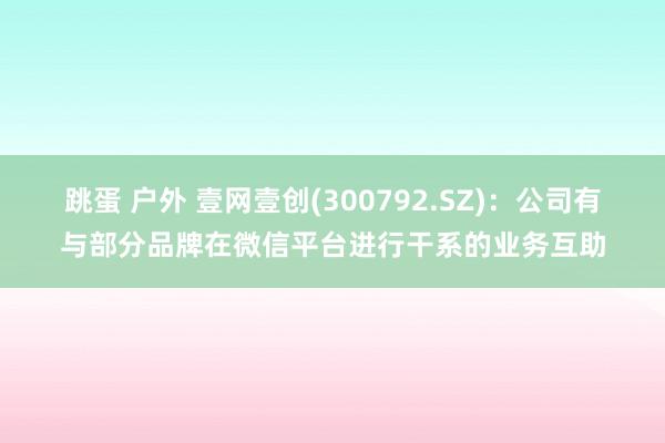 跳蛋 户外 壹网壹创(300792.SZ)：公司有与部分品牌在微信平台进行干系的业务互助
