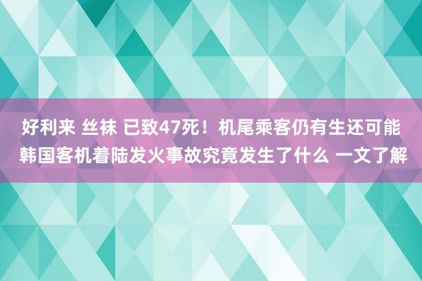 好利来 丝袜 已致47死！机尾乘客仍有生还可能 韩国客机着陆发火事故究竟发生了什么 一文了解