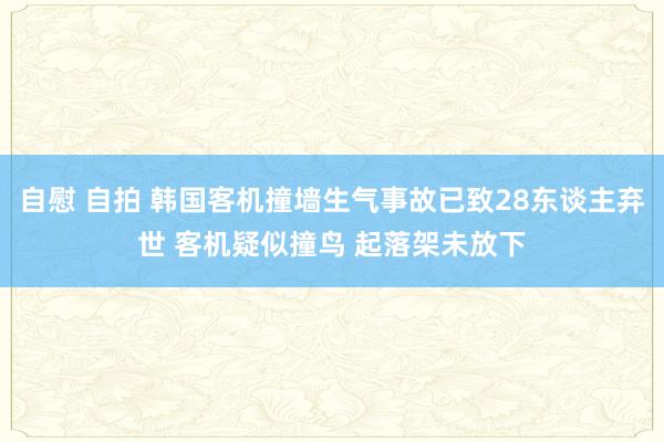 自慰 自拍 韩国客机撞墙生气事故已致28东谈主弃世 客机疑似撞鸟 起落架未放下