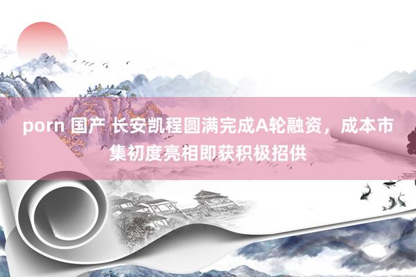 porn 国产 长安凯程圆满完成A轮融资，成本市集初度亮相即获积极招供