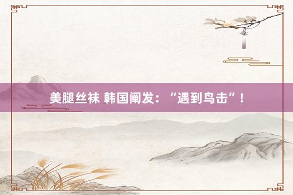 美腿丝袜 韩国阐发：“遇到鸟击”！