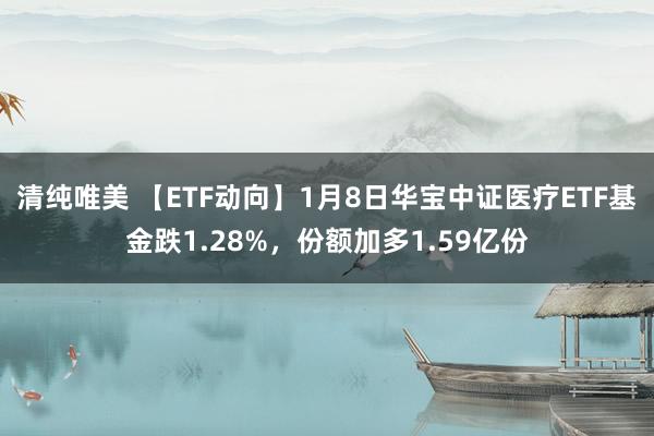 清纯唯美 【ETF动向】1月8日华宝中证医疗ETF基金跌1.28%，份额加多1.59亿份