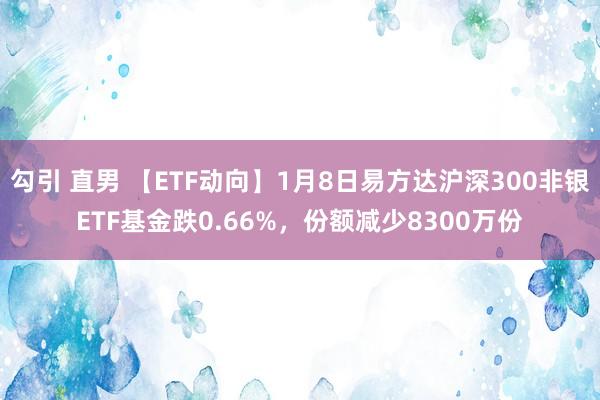 勾引 直男 【ETF动向】1月8日易方达沪深300非银ETF基金跌0.66%，份额减少8300万份