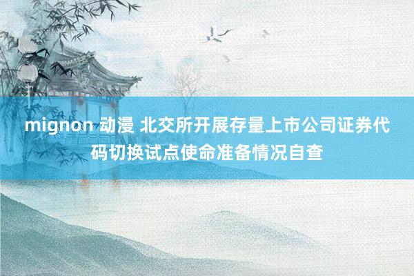 mignon 动漫 北交所开展存量上市公司证券代码切换试点使命准备情况自查