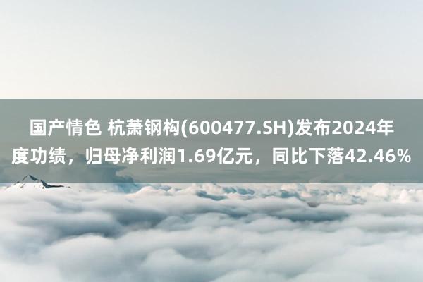 国产情色 杭萧钢构(600477.SH)发布2024年度功绩，归母净利润1.69亿元，同比下落42.46%