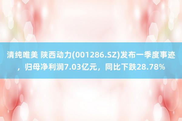清纯唯美 陕西动力(001286.SZ)发布一季度事迹，归母净利润7.03亿元，同比下跌28.78%