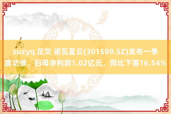 suzyq 足交 诺瓦星云(301589.SZ)发布一季度功绩，归母净利润1.02亿元，同比下落16.54%