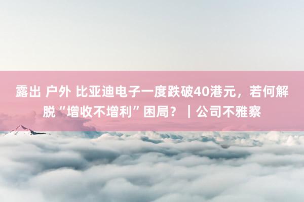 露出 户外 比亚迪电子一度跌破40港元，若何解脱“增收不增利”困局？｜公司不雅察
