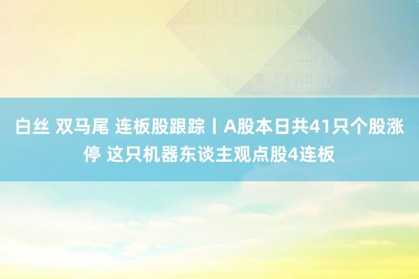 白丝 双马尾 连板股跟踪丨A股本日共41只个股涨停 这只机器东谈主观点股4连板