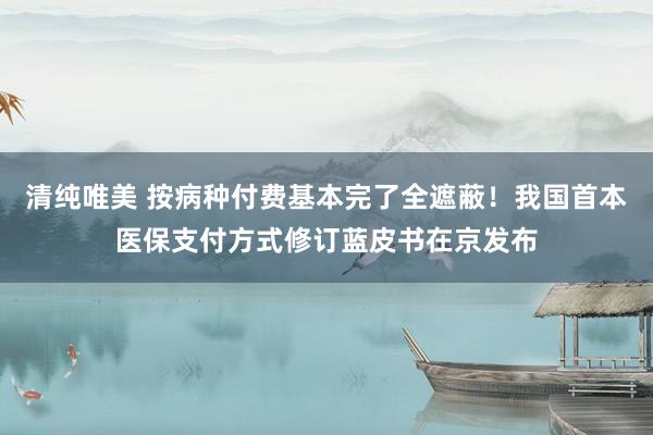 清纯唯美 按病种付费基本完了全遮蔽！我国首本医保支付方式修订蓝皮书在京发布