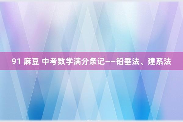 91 麻豆 中考数学满分条记——铅垂法、建系法