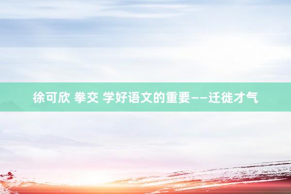 徐可欣 拳交 学好语文的重要——迁徙才气